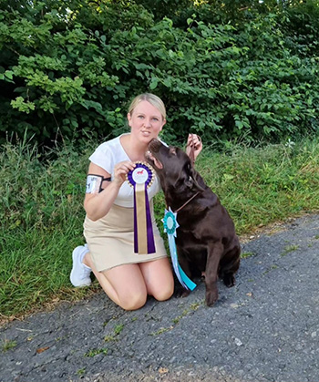 Heidelberg Hills Labradors