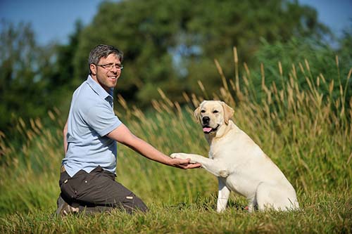 Heidelberg Hills Labradors