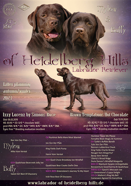 Heidelberg Hills Labradors